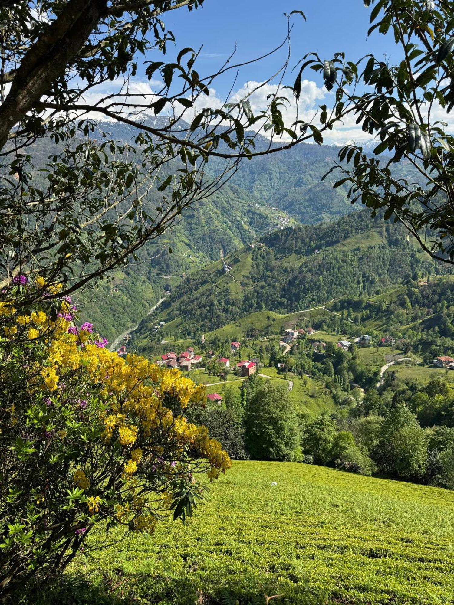 Pera Bungalov Ardeşen Exterior foto
